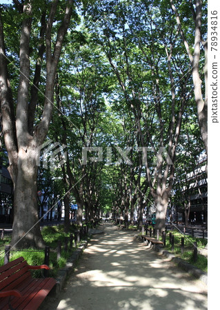 Jozenji-dori, Aoba-ku, Sendai Jozenji-dori, Aoba-ku, Sendai 78934816