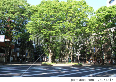 Jozenji-dori, Aoba-ku, Sendai Jozenji-dori, Aoba-ku, Sendai 78934817