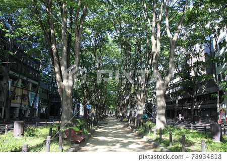 仙台市青葉區定善寺通 仙台市青葉區定善寺通 78934818