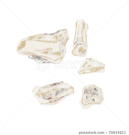Chinese herbal medicine "Ryukotsu" hand-painted watercolor style illustration 78934821