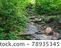 森林公路 78935345