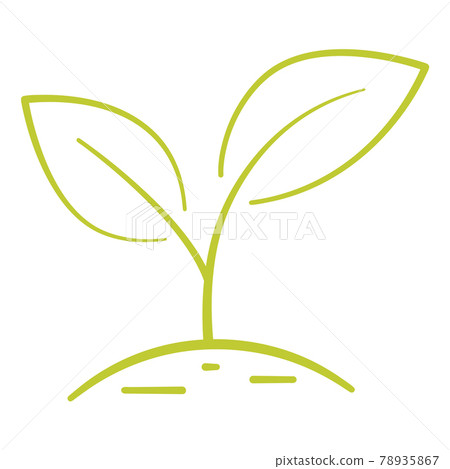 Growing plant. Two green leaves. Environmental protection concept, Eco natural farm concept Growing plant. Two green leaves. Environmental protection concept, Eco natural farm concept 78935867