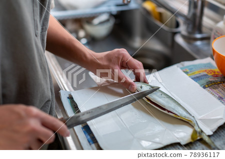 魚類分類準備 78936117