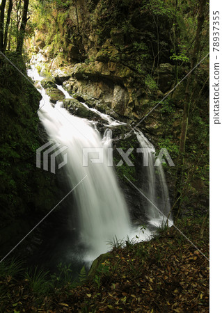 德島縣海陽町Todoroki Falls 丸淵瀑布 德島縣海陽町Todoroki Falls 丸淵瀑布 78937355