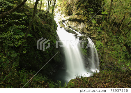 德島縣海陽町Todoroki Falls 丸淵瀑布 78937356