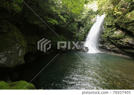 德島縣海陽町的瀑布 德島縣海陽町的瀑布 78937405