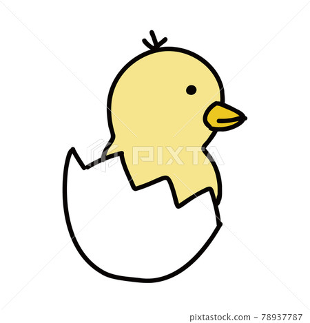 Cute illustration of chicks 78937787