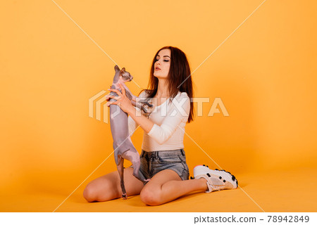 Gorgeous brunette woman smiling, holding Sphynx kitten, posing on grey and yellow studio background. 78942849