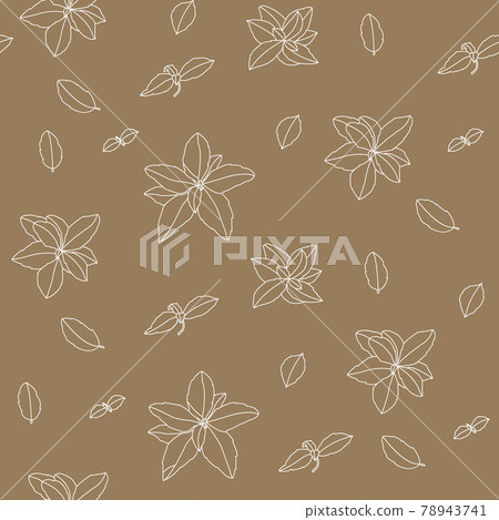 Basil Seamless Pattern. Hand-drawn illustration 78943741