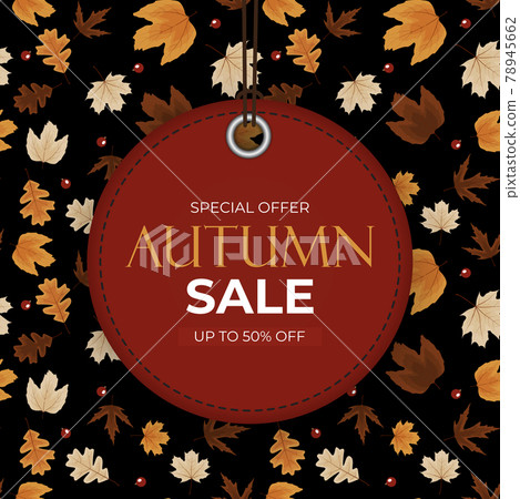 Autumn sale background with falling leaves. Can be used as story post in social network. Vector Illustration 78945662