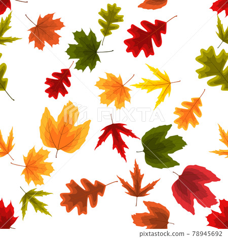 Autumn Natural Leaves Seamless Pattern Background. Vector Illustration 78945692