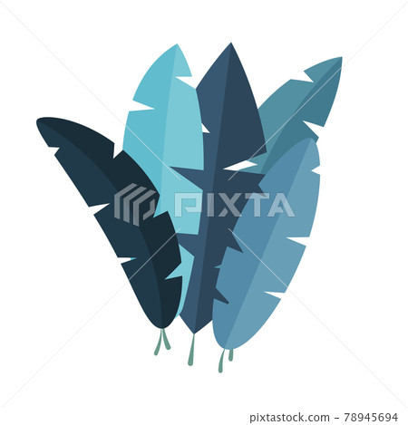 Tropical leaves simple collection set. Vector illustration Tropical leaves simple collection set. Vector illustration 78945694