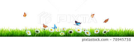 Beautiful nature view of butterfly on blurred background in garden. Beautiful nature view of butterfly on blurred background in garden. 78945738