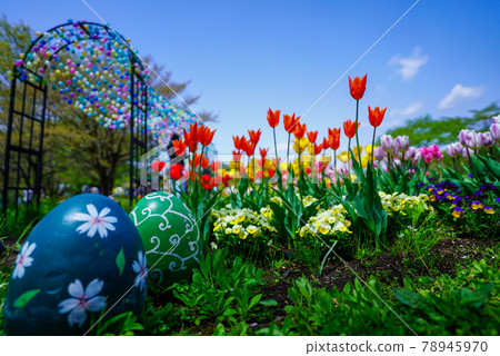 Colorful flower fields of tulips and pansies (Yakurai Garden) [Kami Town, Miyagi Prefecture] 78945970