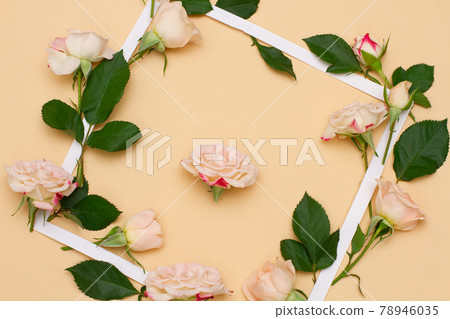 small white and pink flowers of a rose with green young leaves 78946035