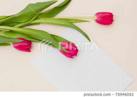 bouquet of pink tulips with green leaves lie on a pastel beige background bouquet of pink tulips with green leaves lie on a pastel beige background 78946082