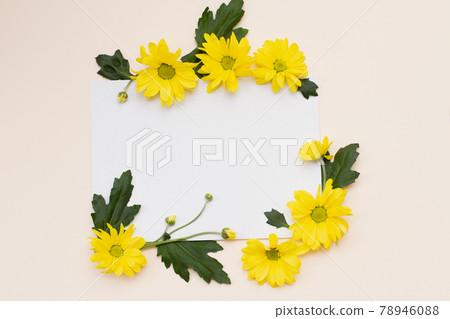 yellow flowers with unopened buds and green leaves yellow flowers with unopened buds and green leaves 78946088