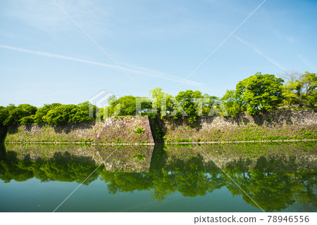 Fresh green of Osaka Castle Park 78946556