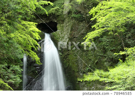 Nagasawa Falls, heart-shaped waterfall entrance, fresh greenery (Tsuno Town, Kochi Prefecture) 78946585