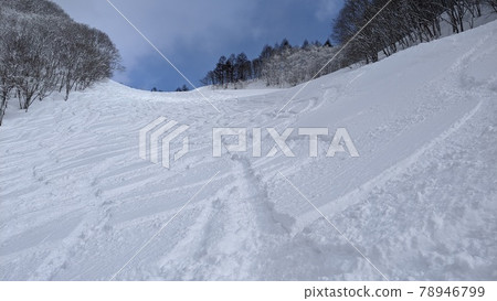 Minakami Kogen Snow Resort Minakami Kogen Snow Resort 78946799