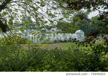 Belgium, Brussels, the pier and the Congo greenhouse seen from the wood 78946803