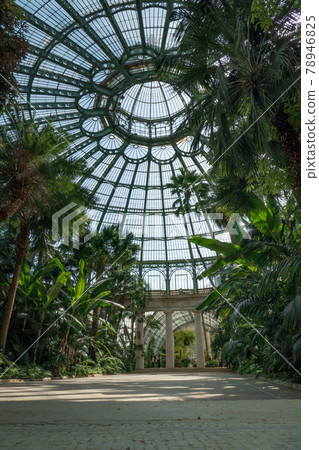 Belgium, Brussels, interior of the dome of the winter garden of the royal greenhouses of laeken Belgium, Brussels, interior of the dome of the winter garden of the royal greenhouses of laeken 78946825