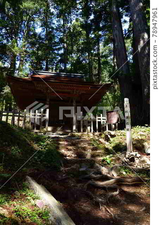 從Takanoyama 從Takanoyama 78947961