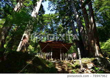 From Takanoyama 78947962