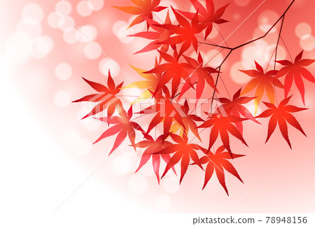 Autumn leaves maple autumn background Autumn leaves maple autumn background 78948156