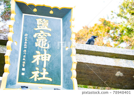 Torii of Shiogama Shrine, Shiogama City, Miyagi Prefecture Torii of Shiogama Shrine, Shiogama City, Miyagi Prefecture 78948401