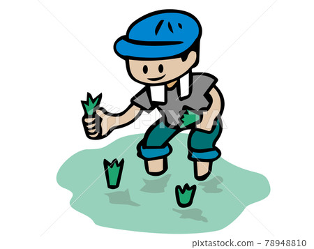 Illustration of a man planting rice - Stock Illustration [78948810] - PIXTA