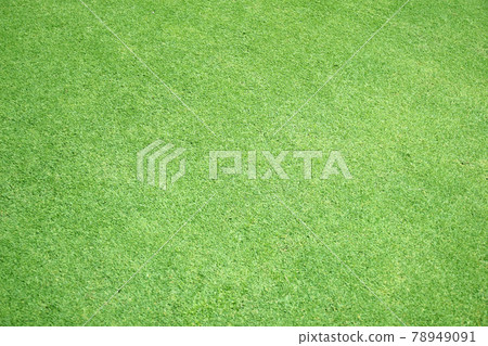 Green grass background green lawn pattern textured background. 78949091