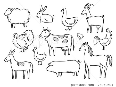 Hand drawn set farm domestic animal 78950604