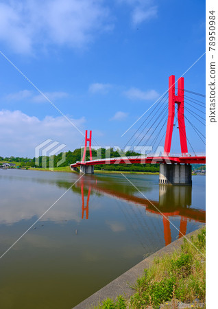 Iris Bridge Kitagata Lakeside Park Awara City Iris Bridge Kitagata Lakeside Park Awara City 78950984