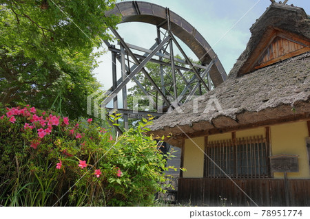 An old folk house with a water wheel in the garden An old folk house with a water wheel in the garden 78951774