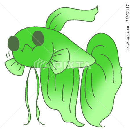 Solid to eat food (green) Solid to eat food (green) 78952117