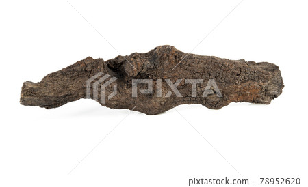 dry branches of tree isolated on white background dry branches of tree isolated on white background 78952620