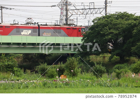 埼玉縣鐵橋上運行的EH500型電力機車 78952874