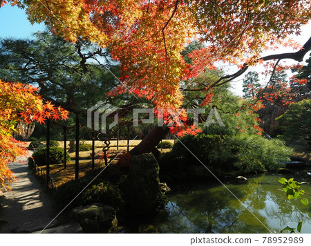 Autumn at Kyoto Jonangu Autumn at Kyoto Jonangu 78952989