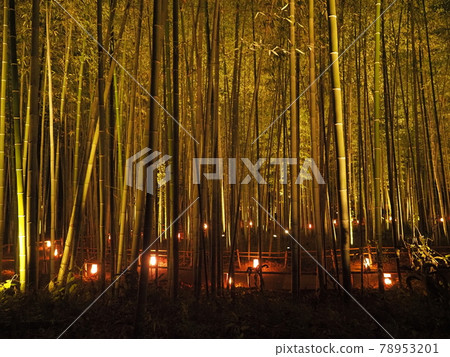 2020嵐山花鳥郎 2020嵐山花鳥郎 78953201