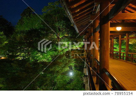 東福寺燈火通天橋 東福寺燈火通天橋 78955154