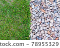 邊界清晰的草地和礫石 78955329