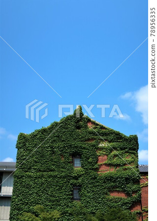 京都大學圖書館東南亞研究中心 78956335