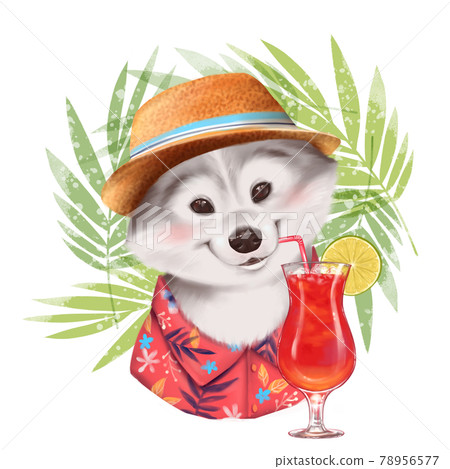 Beautiful illustration of cute summer dog with cocktail Beautiful illustration of cute summer dog with cocktail 78956577