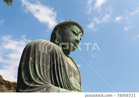 The Great Buddha of Kotoku-in temple in Kamakura, Japan The Great Buddha of Kotoku-in temple in Kamakura, Japan 78956721