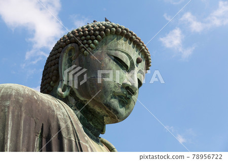 The Great Buddha of Kotoku-in temple in Kamakura, Japan 78956722
