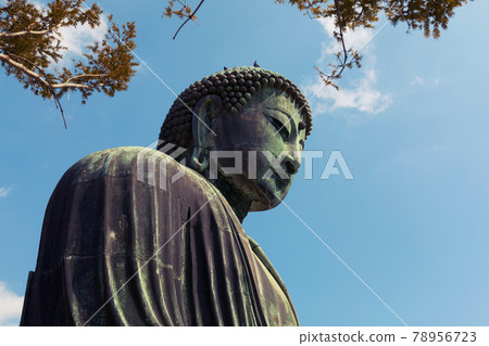 The Great Buddha of Kotoku-in temple in Kamakura, Japan 78956723