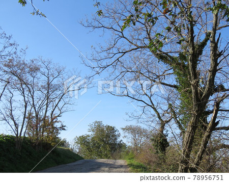 Natural landscape Natural landscape 78956751