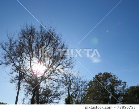 Natural landscape Natural landscape 78956755