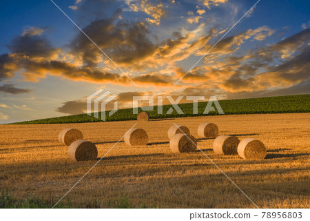 A hill town - Biei scenery in Biei 78956803